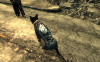 ScreenShot8-rsz.jpg